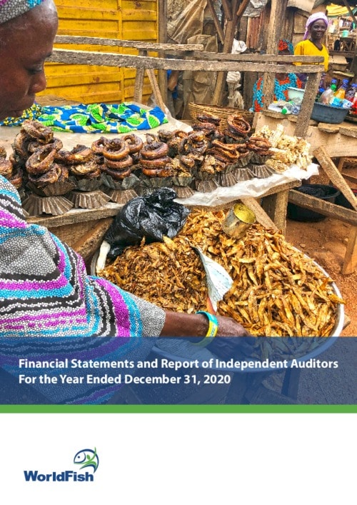 Worldfish Financial Statements and Report of Independent Auditors For the Year Ended December 31, 2020