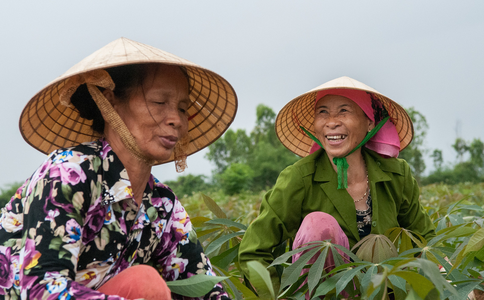 CGIAR Food Frontiers & Security Program