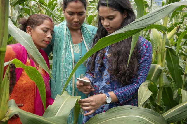 Demonstrating the use of a mobile phone app in a field, Nepal. Credit: Photo by C. De Bode/CGIAR