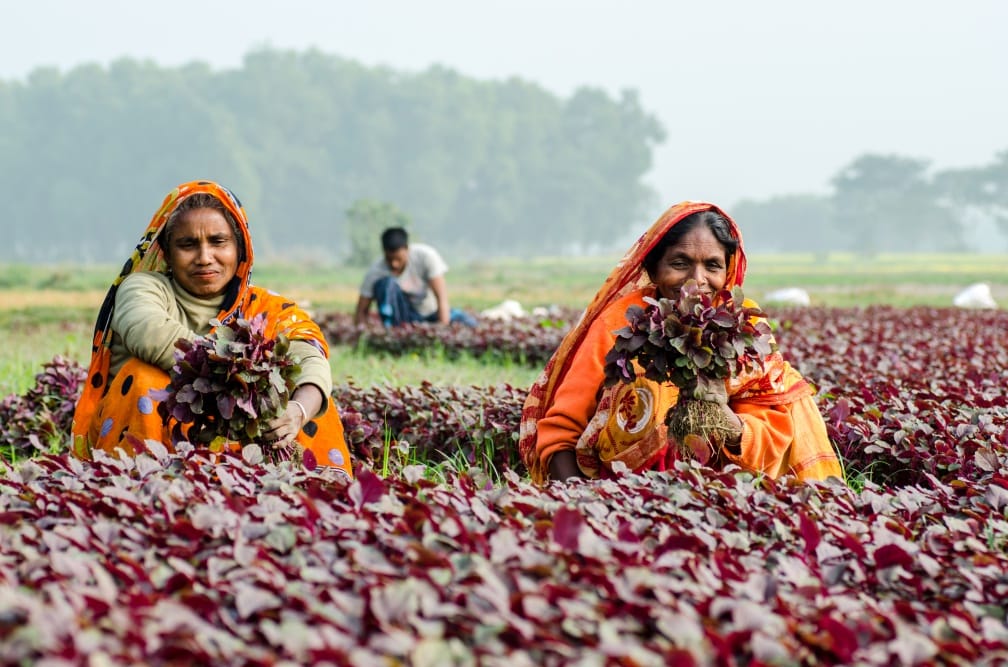 An index for measuring women’s empowerment in agriculture