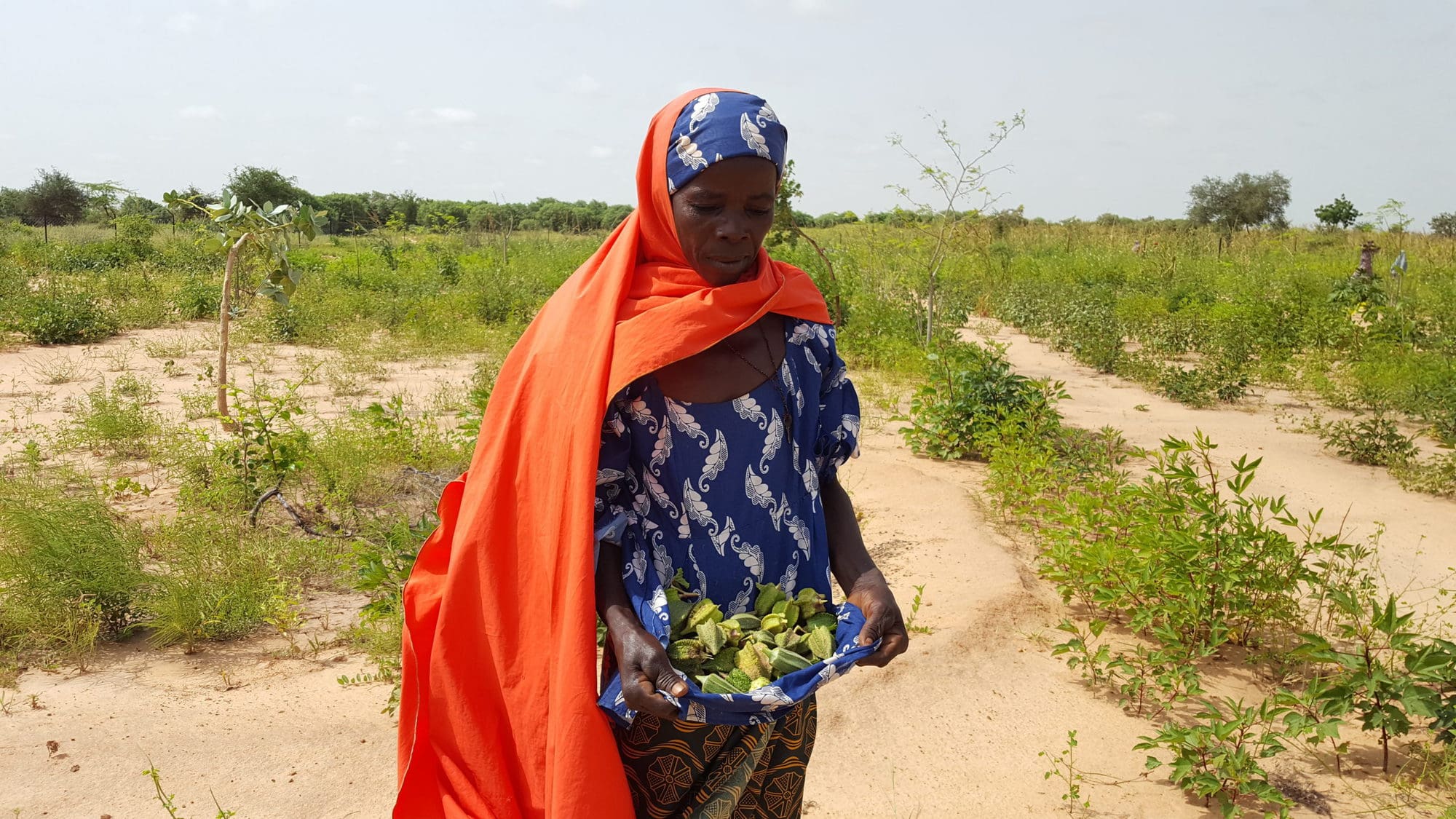 Bioreclamation to secure women’s rights to land