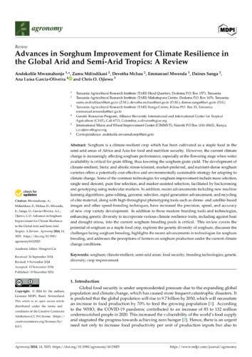 Advances in sorghum improvement for climate resilience in the global arid and semi-arid tropics: A Review