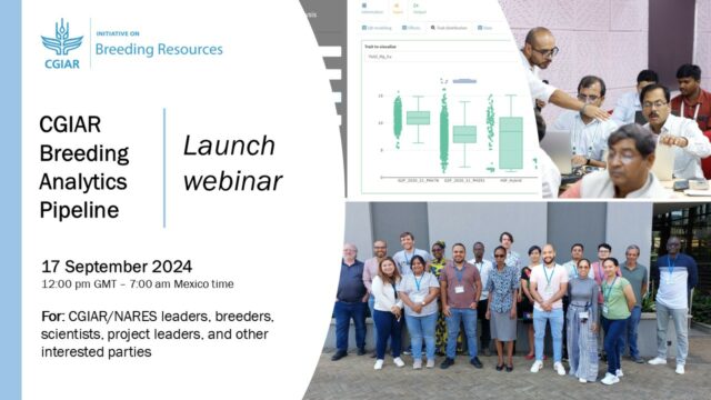 CGIAR Breeding Analytics Pipeline launch webinar_17 October 2024