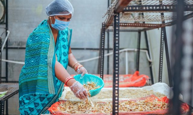 From Traditions to Triumph: Premalata’s Success with Solar-Dried Fish in Odisha