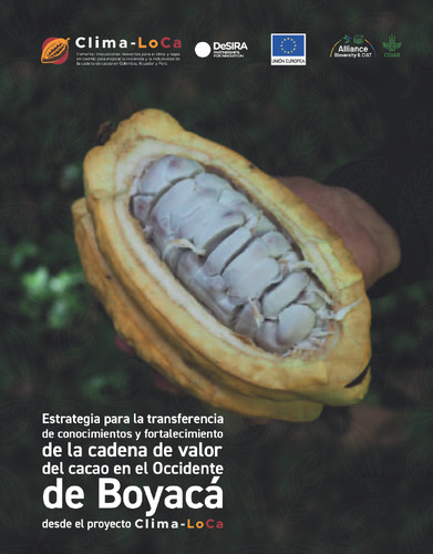 Estrategia para la transferencia de conocimientos y fortalecimiento de la cadena de valor del cacao en el Occidente de Boyacá