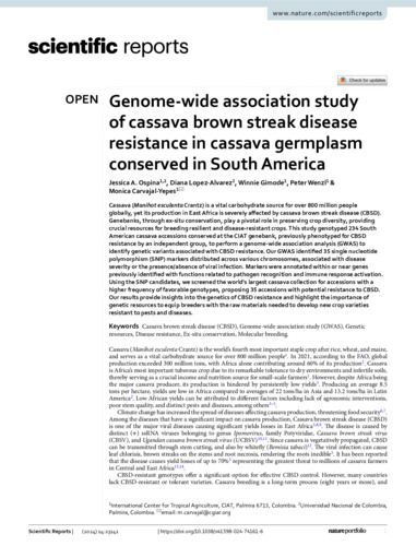 Genome-wide association study of cassava brown streak disease resistance in cassava germplasm conserved in South America