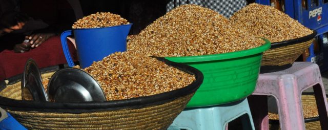 Popular barley varieties were tested to assess trait preferences among a group of women processors in Ethiopia. Credit: Dina Najjar, ICARDA