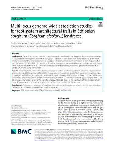 Multi-locus genome-wide association studies for root system architectural traits in Ethiopian sorghum (Sorghum bicolor L.) landraces