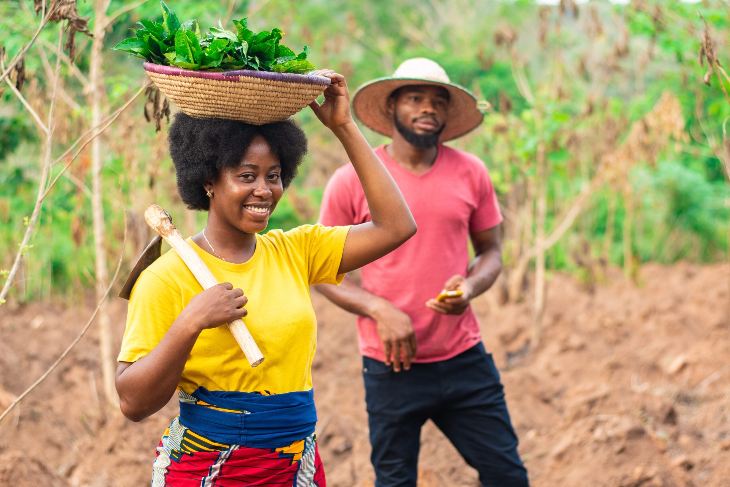 CGIAR Gender Accelerator
