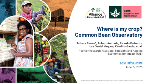 Where is my crop? Common bean observatory