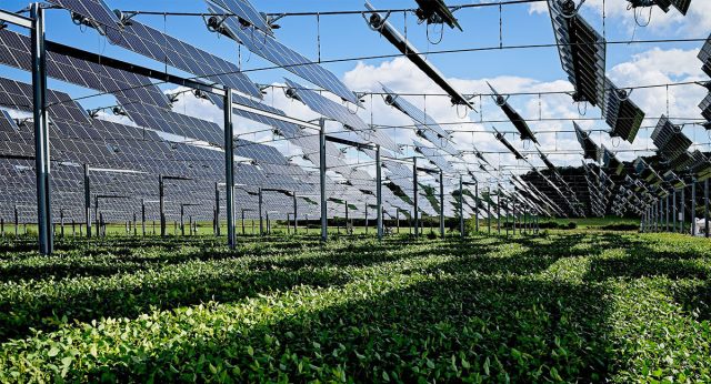 World Water Day 2025