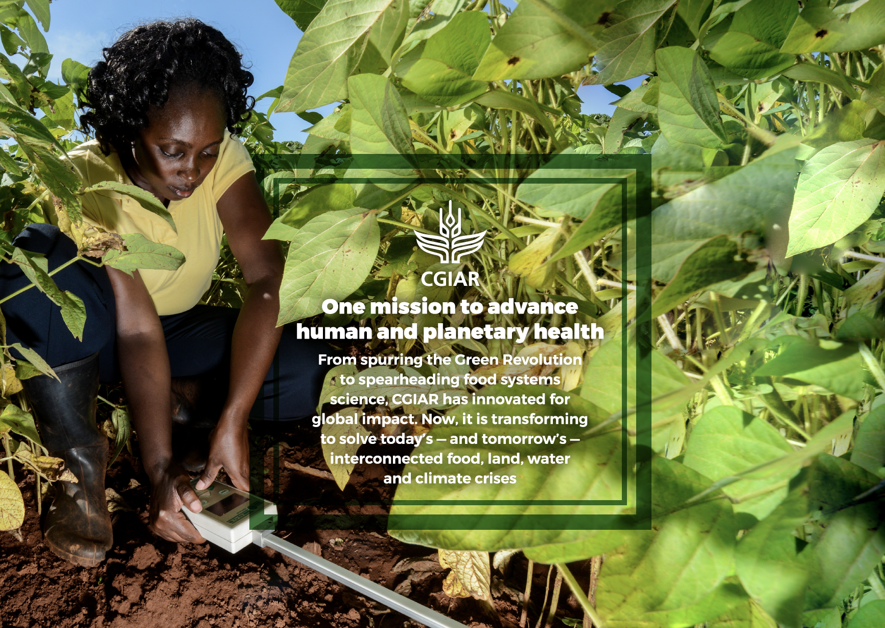 CGIAR Flyer