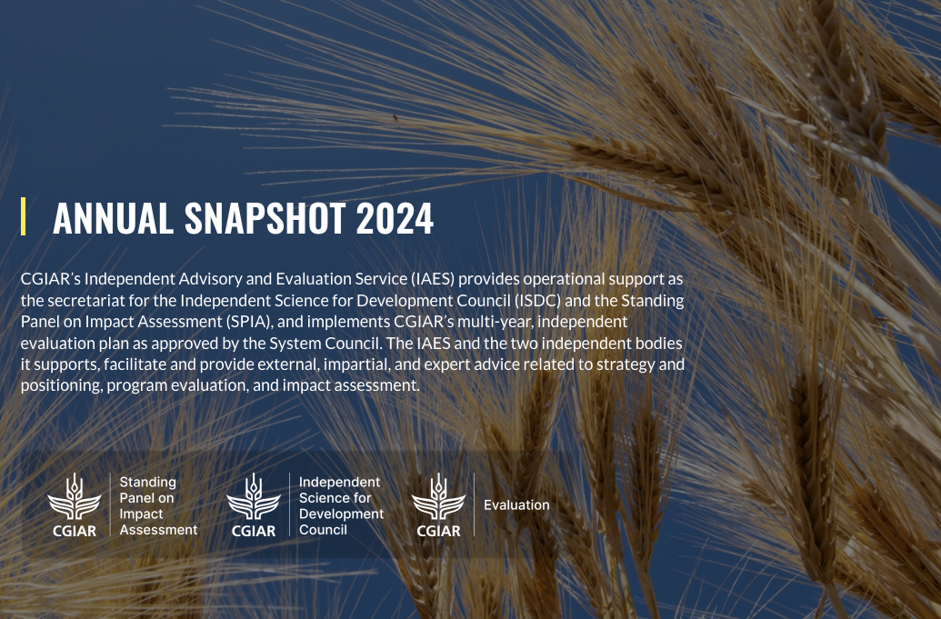 Annual Snapshot 2024