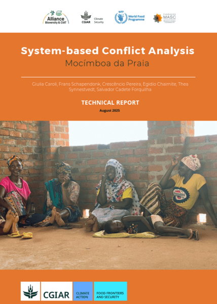 System-based conflict analysis: Mocímboa da Praia